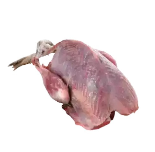 কবুতরের মাংস ১ পিস