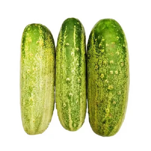 দেশী খিরা