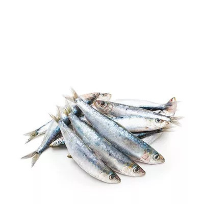 ফ্রেশ সি ফিশ সার্ডাইন চাপিলা ১ কেজি