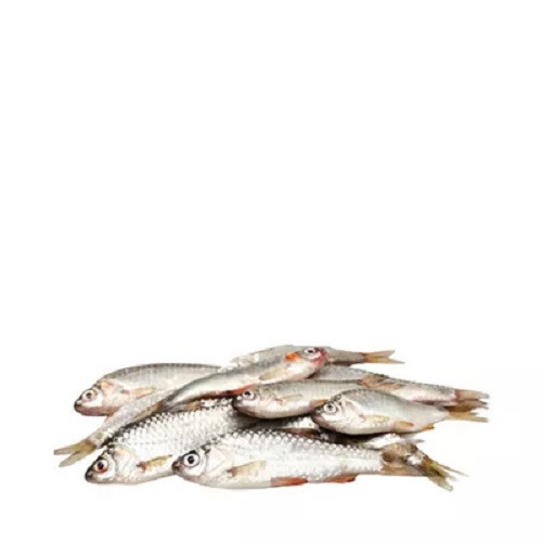 পুটি মাছ ২৫০ গ্রাম