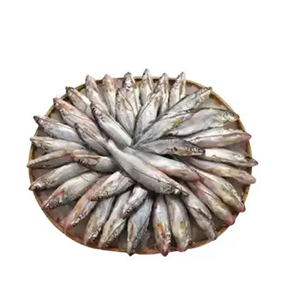 গুলশা মাছ মাঝারি ৫০০ গ্রাম