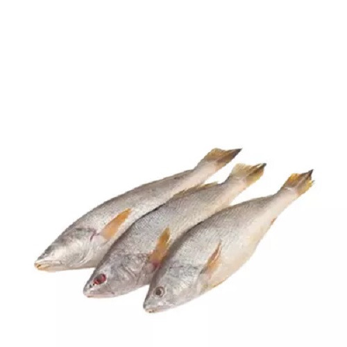 পোয়া মাছ ৫০০ গ্রাম