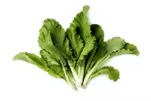 বাঁধাকপি পাতা