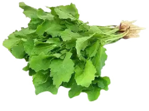 সরিষা শাক