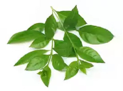 মেহেন্দি পাটা