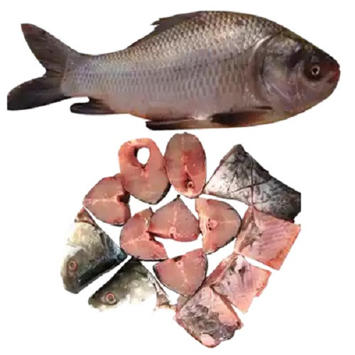 কাতলা মাছ কাটার পর ১.৫ কেজি